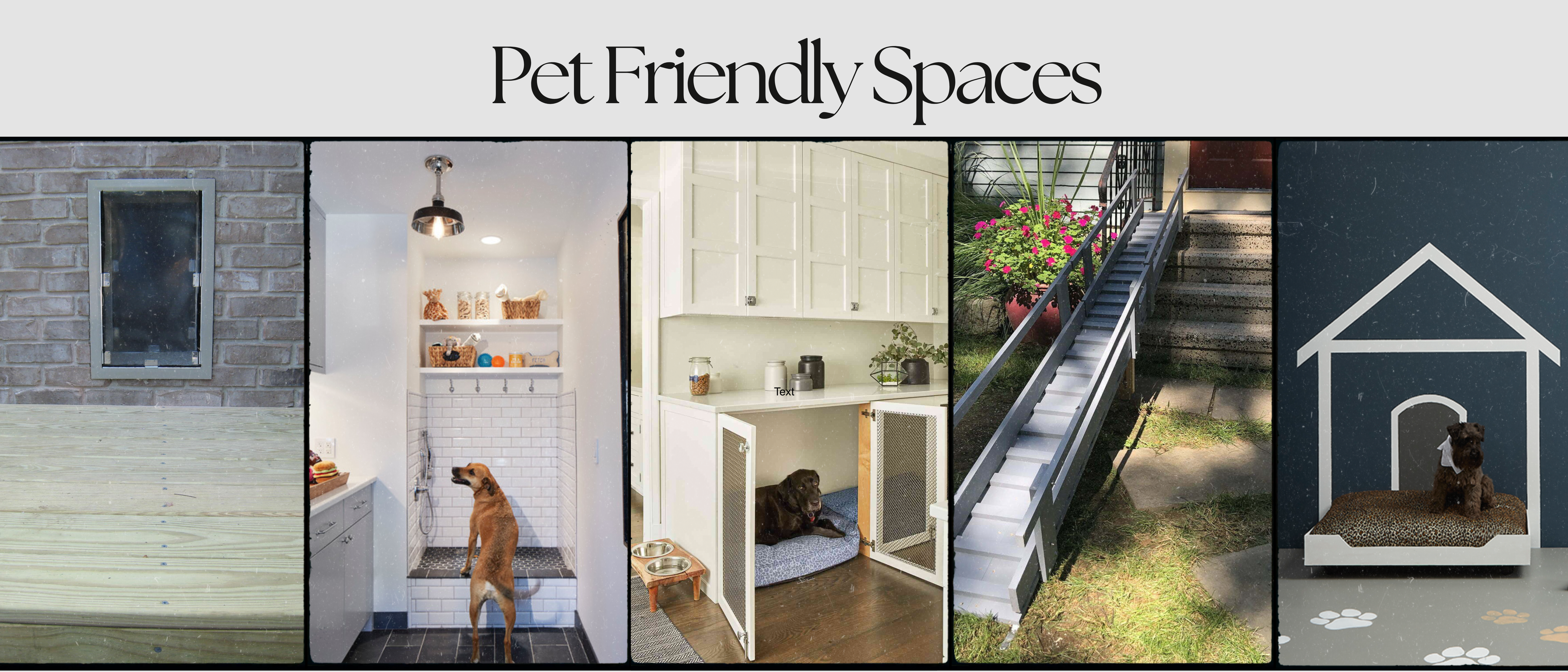 Pet Friendly Spaces-1
