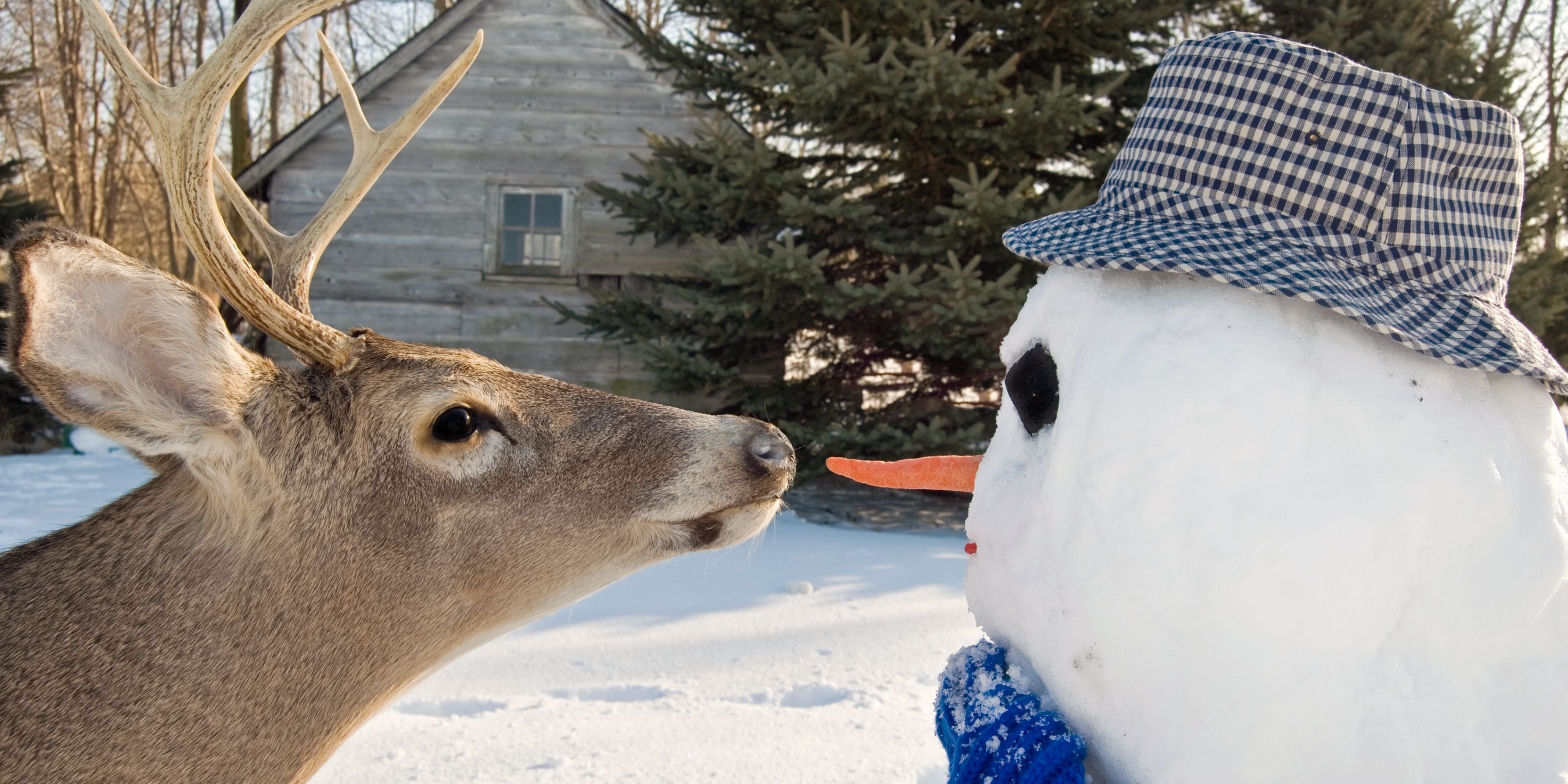 Winter Activities Near Louisville, Kentucky